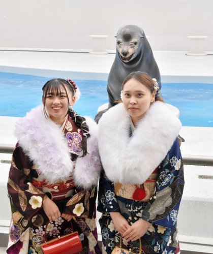 にっこり！笑うアシカも祝福　鴨川シーワールドで「二十歳の集い」