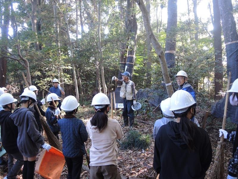 「下田の杜里山フォーラム」メンバーの指導を受け、落ち葉拾いのボランティアに臨む柏市立酒井根西小の６年生たち。フォーラムの北田芳則理事長（正面右）も見守る＝２０２３年１１月２８日、柏市
