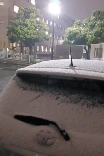 ２日続けての雪となった柏市内＝４日午後８時１５分ごろ