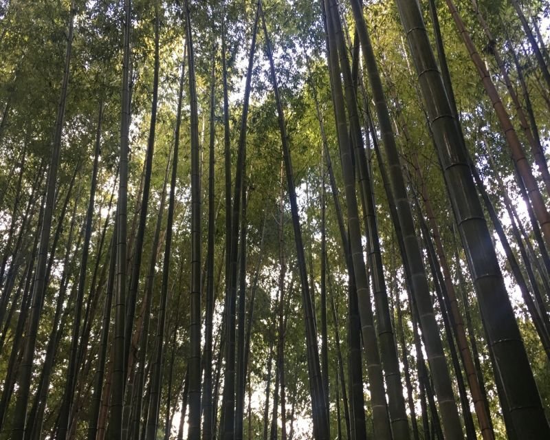 写真はイメージ