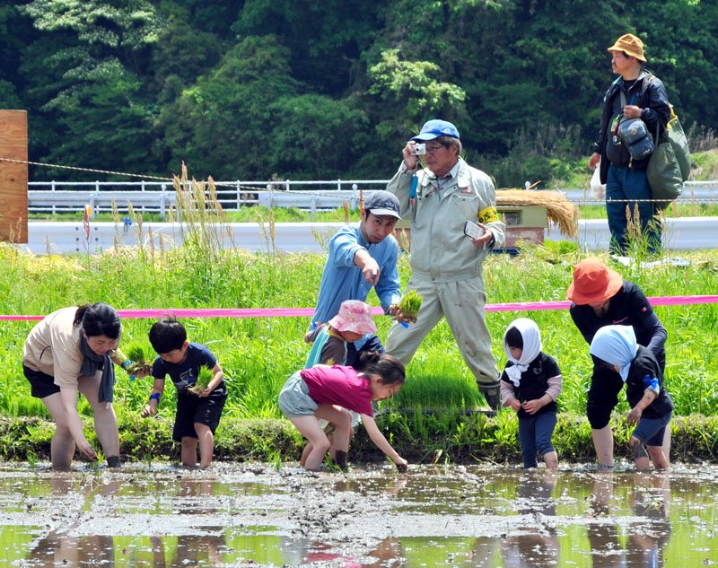 田植えにチャレンジする親子ら＝２９日、市原市久保