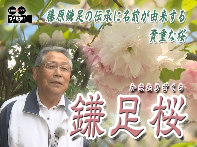 気になるあの記事を「ツイセキ！！」