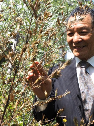 茶室庭園で花を咲かせた黒竹と野口さん＝木更津市
