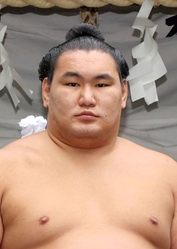 横綱豊昇龍（共同）