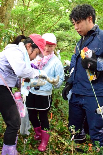 抜け殻を見つけた児童たち＝３日、茂原市