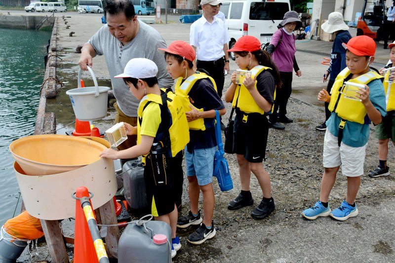 マダイの稚魚を放流する小学生ら＝８日、勝浦市