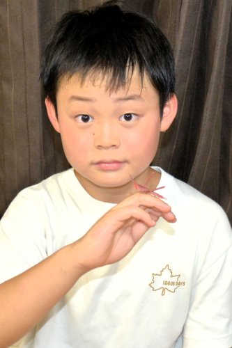 赤いショウリョウバッタを見つけた岩瀬さん＝勝浦市