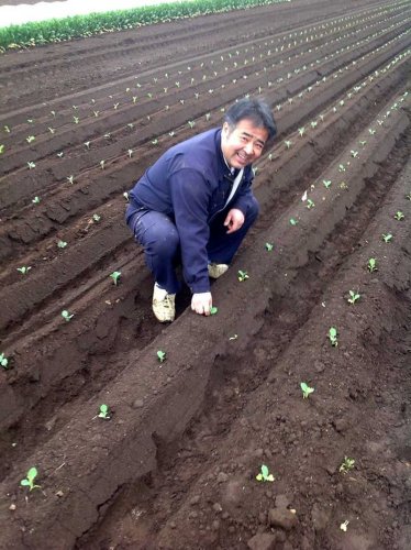 コメ農家の思い　最低でも５キロ３０００円、増産精査を　食供給や防災で公的役割　【２０２５参院選　県民の暮らし　ちばの現場から】
