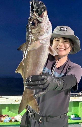 洲崎南沖で釣り上げたクロムツ（写真は「萬栄丸」提供）