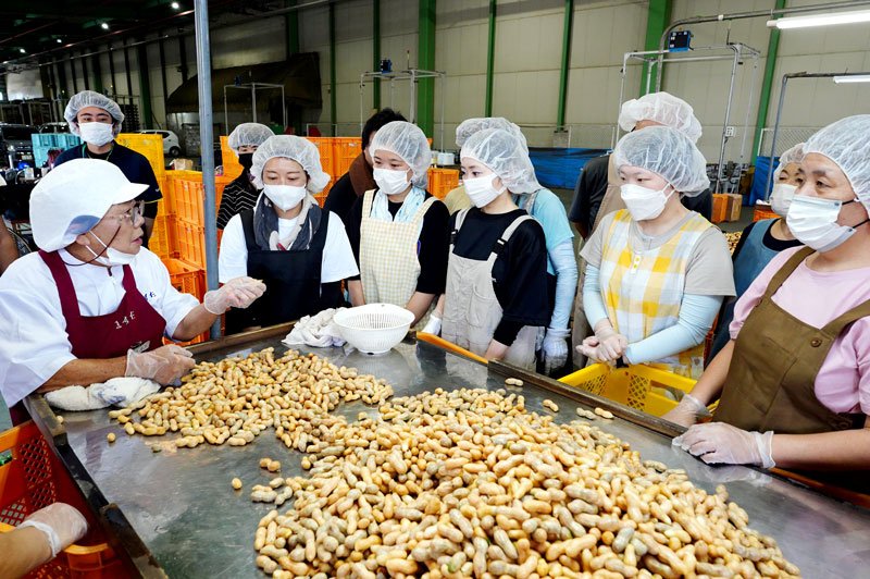 銚子で落花生出荷スタート　生産者自慢の味ずらり　おいしい「ゆでピー」に　猛暑や雨不足も「よい出来」
