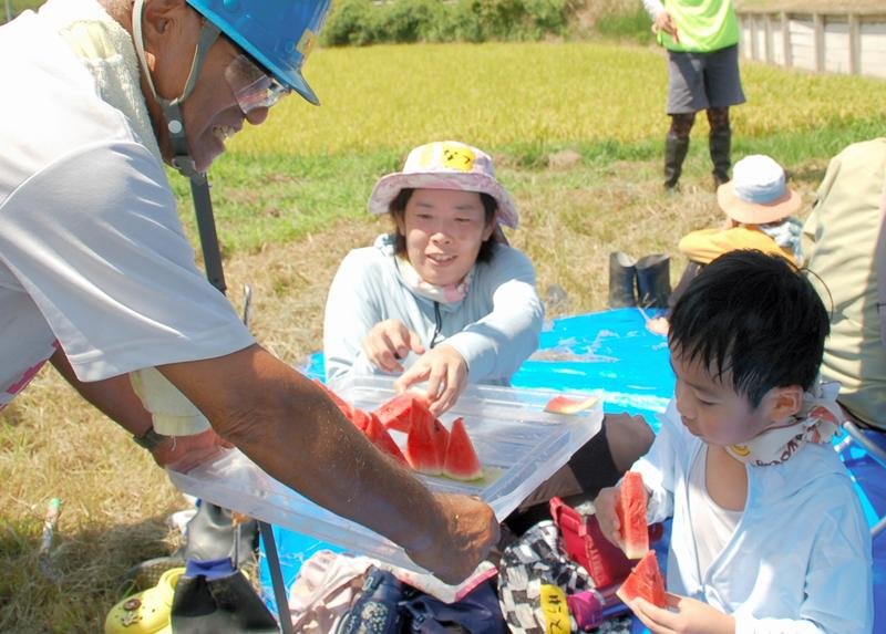 猛暑もなんの　稲刈り夢中　市原、市東地区で親子ら体験