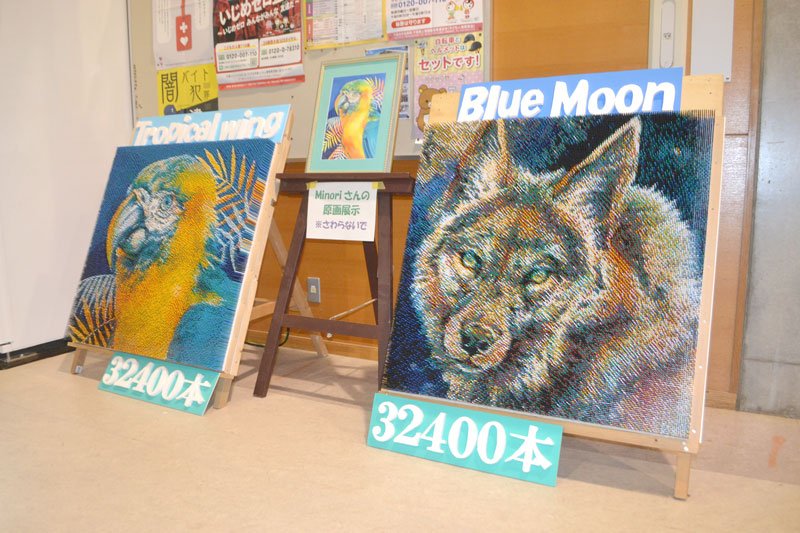 過去最大！３０万本つまようじアート　精密作業でヒョウや金魚　印旛明誠高生　あす６日文化祭で公開　