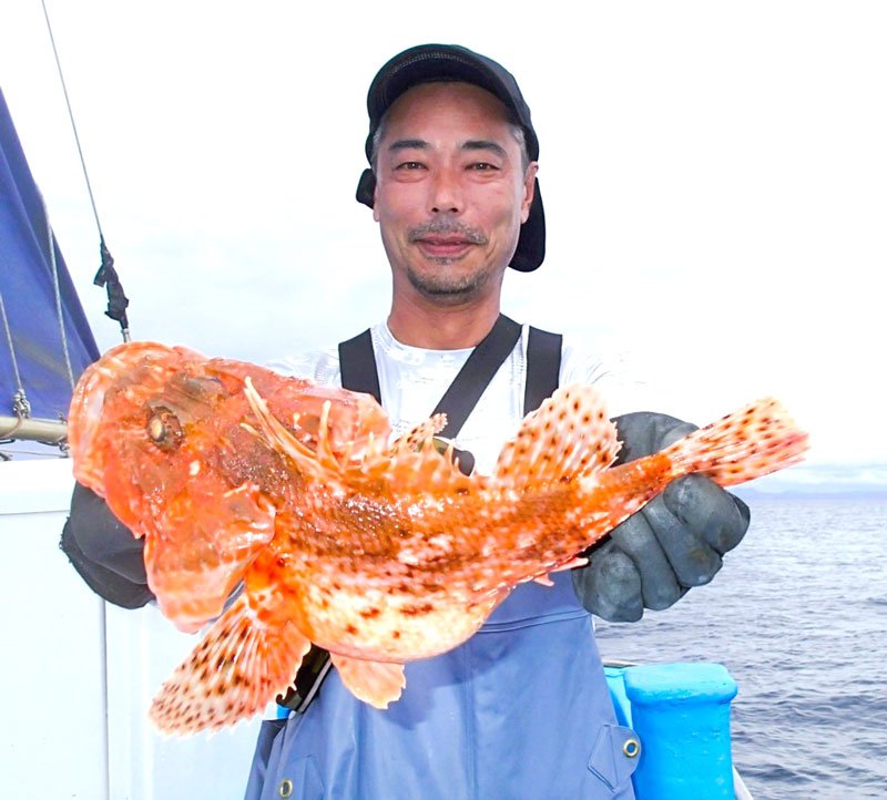 館山沖で釣り上げたオニカサゴ（写真は「真澄丸」提供）
