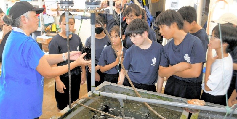 稚魚や稚貝の栽培学習　御宿中が海洋教育体験　波しぶき浴びボート乗船も