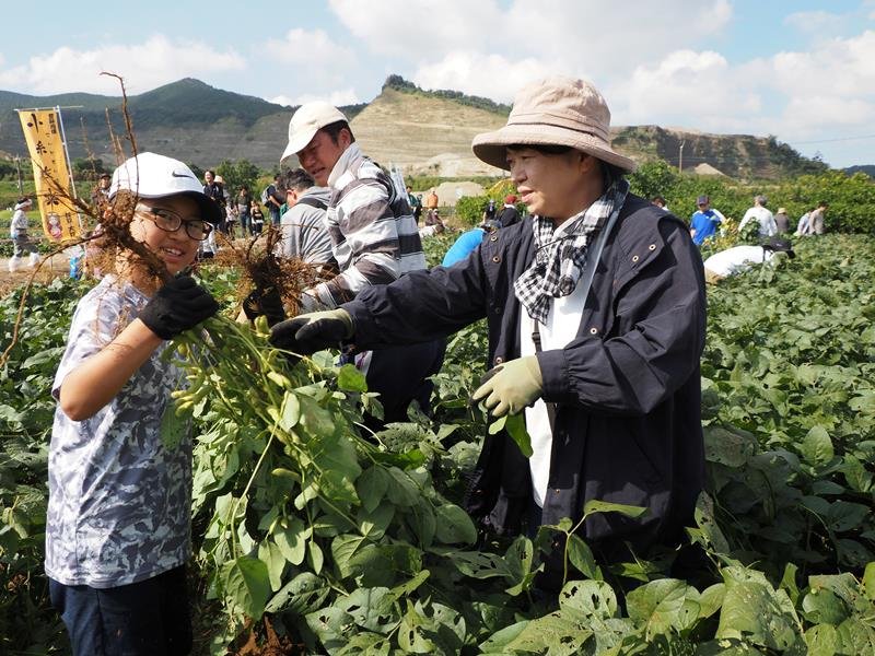 毎年大勢の家族連れが畑を埋め尽くす「きみつ枝豆収穫祭」＝君津市（昨年）
