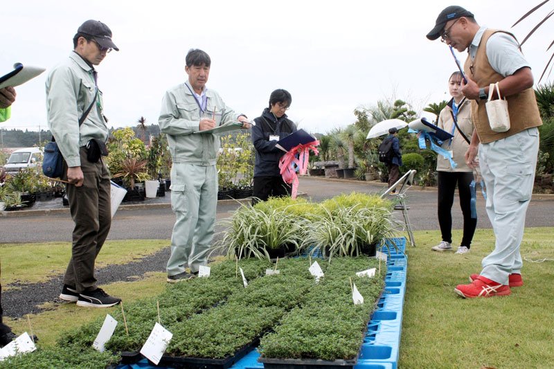 匠の技継承に一役　千葉県植木共進会、節目の５０回　ベトナムや中国でも人気　東金