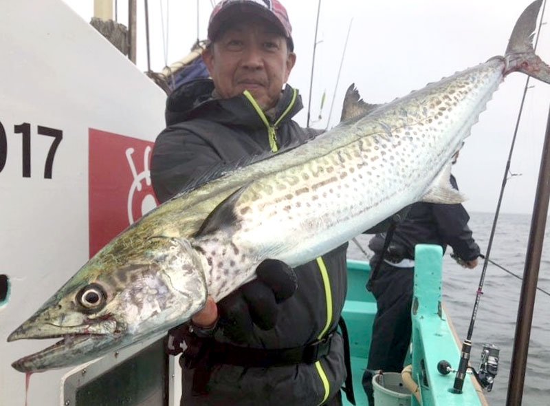 勝山カワハギ良型主体　木更津サワラ狙える　【今週の釣果】