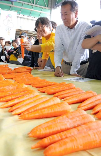 ニンジンの出荷最盛期に備え、熱心に品質を確認する農家ら＝２８日、富里市