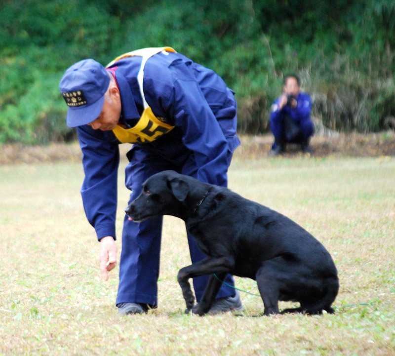 ５８匹挑戦、新科目も　鼻生かし捜索、嘱託警察犬審査　千葉市