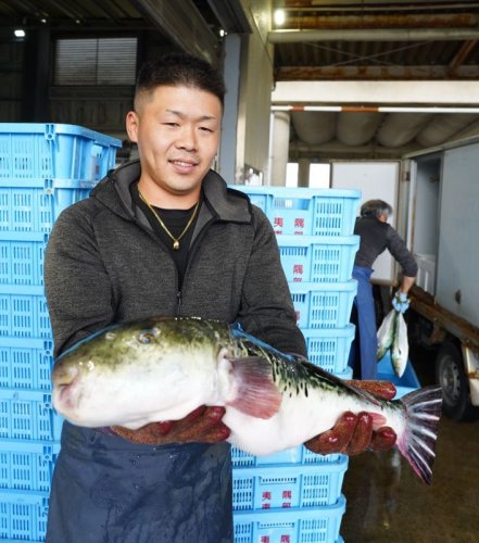 大原漁港に水揚げされたトラフグを手にする地元仲買人＝５日、いすみ市