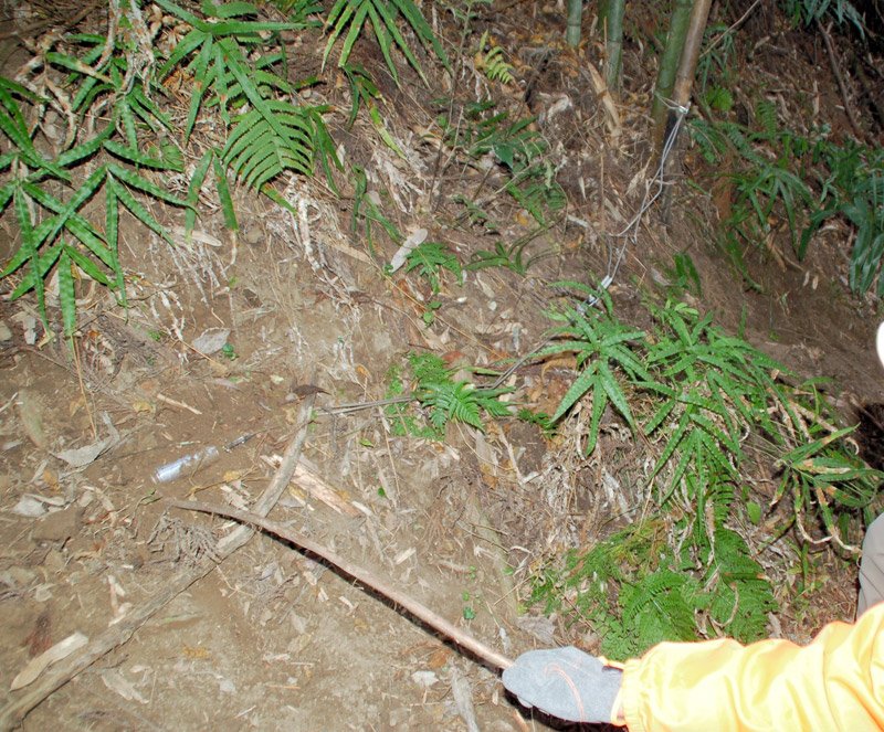 【独自】危険な違法わな、市原の山林に複数　標識なく重大事故の危険　挟まれたハンターも【動画あり】