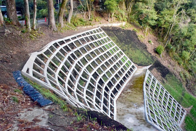 復旧工事が完了した妙楽寺の森の被災現場＝２６日、睦沢町