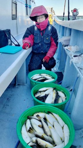 平砂浦イカ好調　観音崎、走水タチウオ狙える　【今週の釣果】
