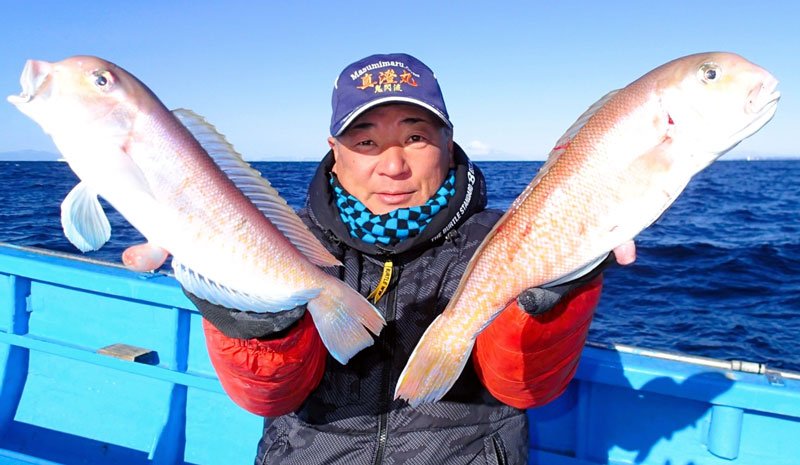 館山沖で釣り上げたアマダイ（写真は「真澄丸」提供）