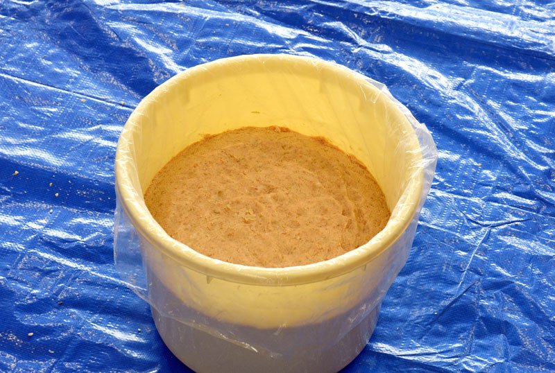 みそ仕込み　大豆や米育て　児童挑戦、１年発酵心待ち　神崎・米沢小