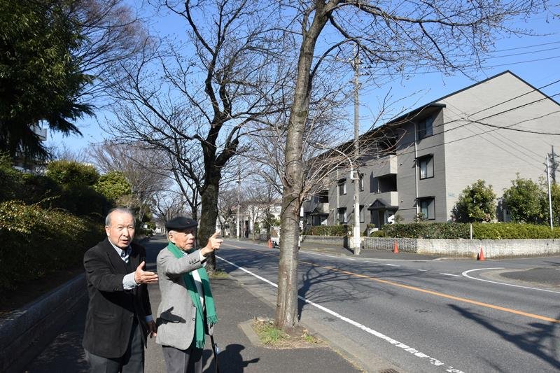 「みつわ台桜祭り」の会場となる市道で、プログラムについて説明する増田顧問（右）と桑原委員長＝千葉市若葉区
