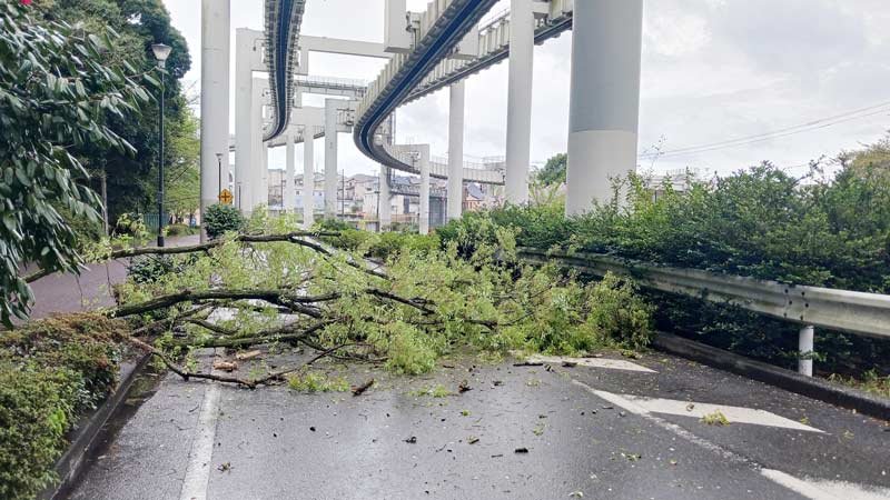 【速報】千葉で倒木も…県内で強風や高波、急な強い雨、落雷に注意　気象庁