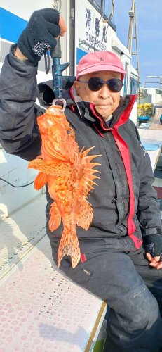 太東メヌケ好釣　木更津、保田アジ狙える　【今週の釣果】