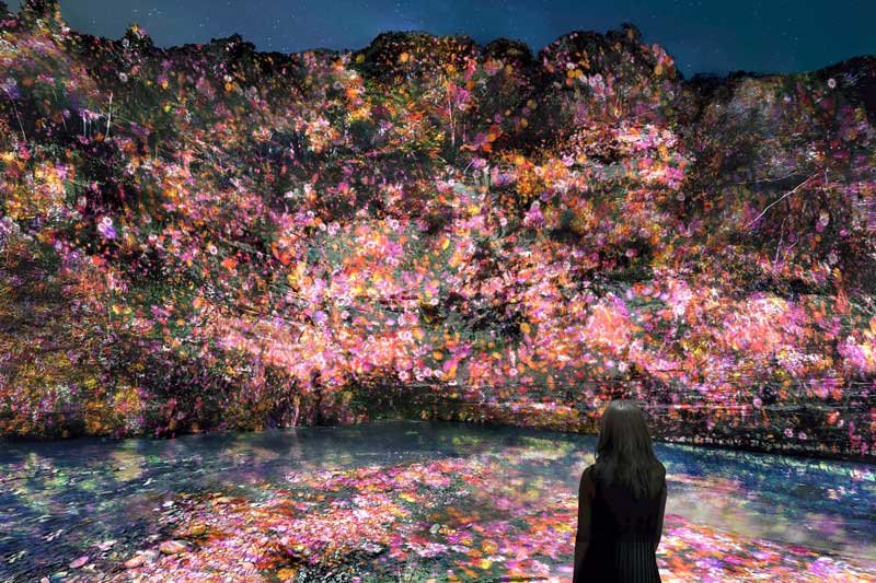 養老渓谷の自然を生かしたデジタルアート作品などを展示・上映する（「チームラボ　養老渓谷」養老渓谷、千葉　（Ｃ）チームラボ、Ｍａｄｅ　ｗｉｔｈ　ＣＧ）
