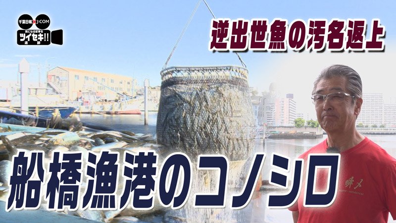 気になるあの記事を「ツイセキ！！」　千葉日報×Ｊ：ＣＯＭコラボ