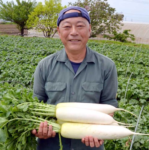 歯ごたえ抜群、豊潤な甘み　１００年続く“味”へ夫婦挑戦　姉崎だいこん（市原市）　【房総グルメ探訪】（９）