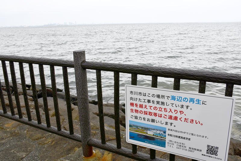 生物回復、海底平らに　砂本格投入へ「一定の成果」　「人工干潟」造成　市川市調査報告書を公表