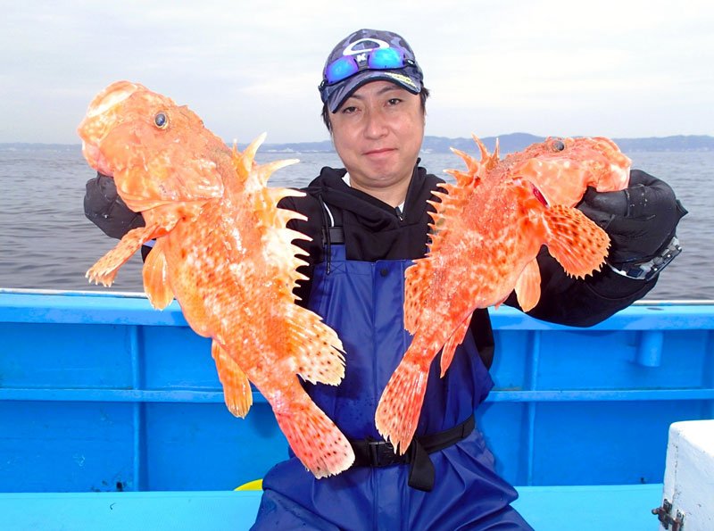 保田イサキ狙える　木更津アジ好釣　【今週の釣果】