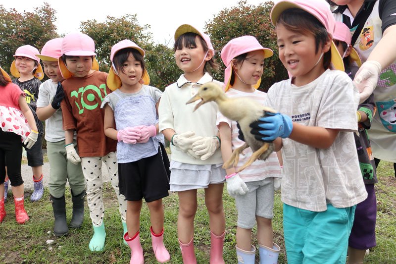 農家から受け取ったアイガモを田んぼに持って行く園児