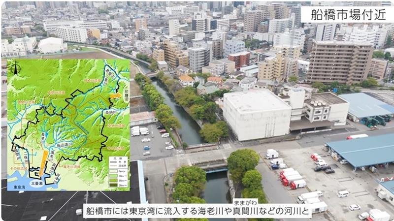船橋市が作成した自然環境紹介動画＝同市提供
