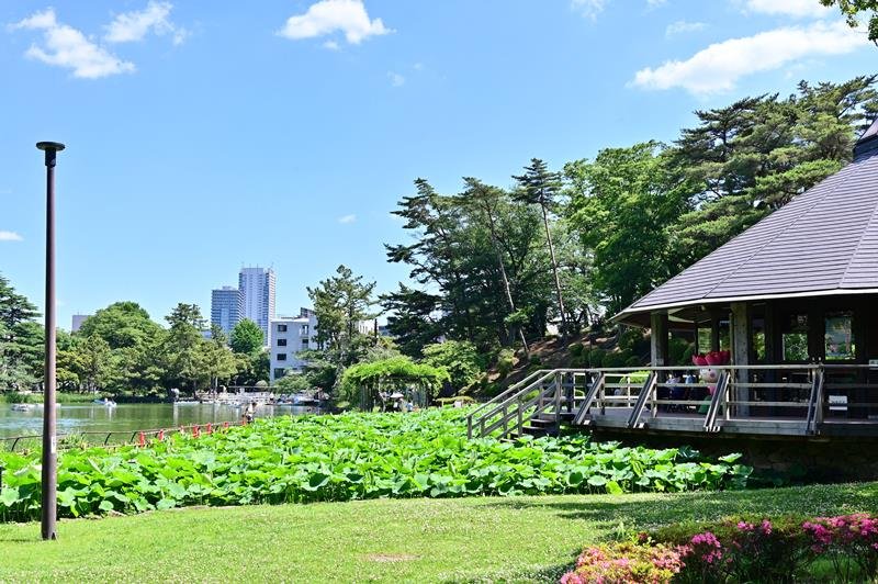 ダイナミックな歴史「財産」　未来の展望描く節目に　神谷俊一市長に聞く－千葉市の現在地と将来像　千葉開府９００年　【インタビュー】