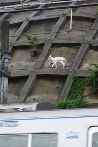 【速報】崖の上のヤギ「ポニョ」死ぬ　佐倉草ぶえの丘　３月下旬から療養
