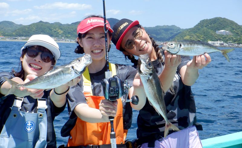 保田沖で釣り上げたアジ（写真は「村井丸」提供）