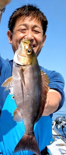 保田、木更津アジ好釣　木更津、富津シロギス狙える　【今週の釣果】