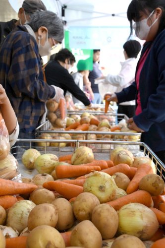 ジャガイモ、ニンジン、タマネギも！　野菜詰め放題人気、ＪＡいすみ感謝祭