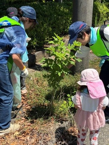 清掃活動に汗を流す三井化学市原工場の社員、家族ら＝市原市（同工場提供）
