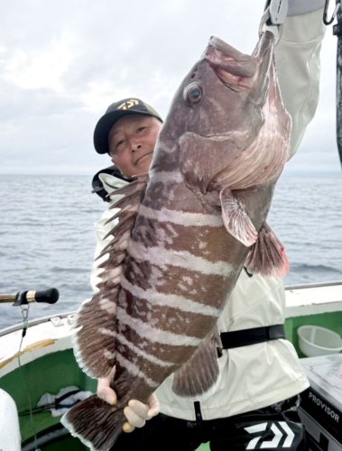 大原、保田　イサキ好釣　洲崎南大型マハタゲット【今週の釣果】