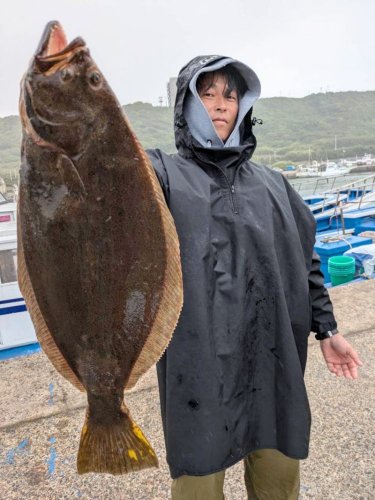 大原、保田　イサキ好釣　洲崎南大型マハタゲット【今週の釣果】