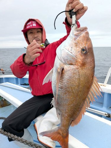 大原、保田　イサキ好釣　洲崎南大型マハタゲット【今週の釣果】