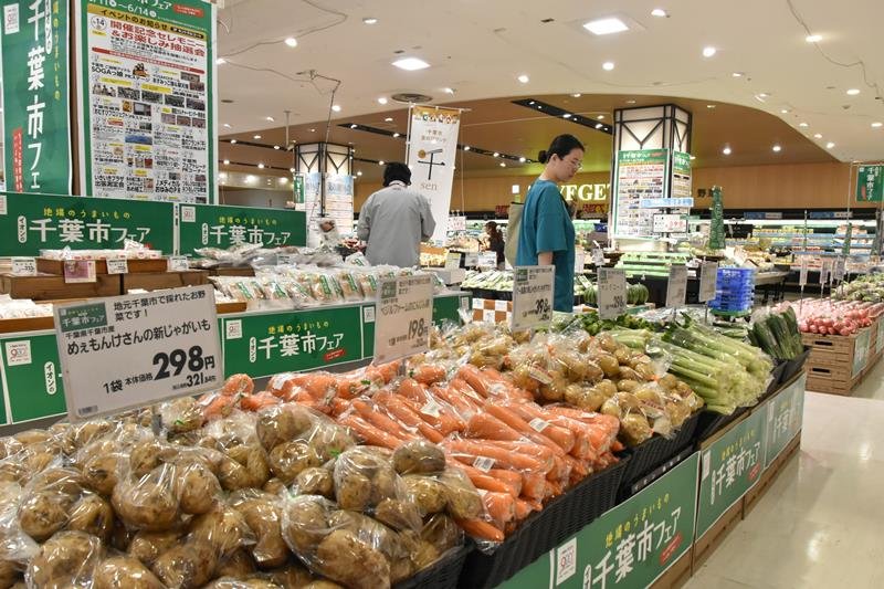 千葉市産の旬の野菜が並んだ「千葉市フェア」＝１１日、同市緑区のイオンスタイル鎌取
