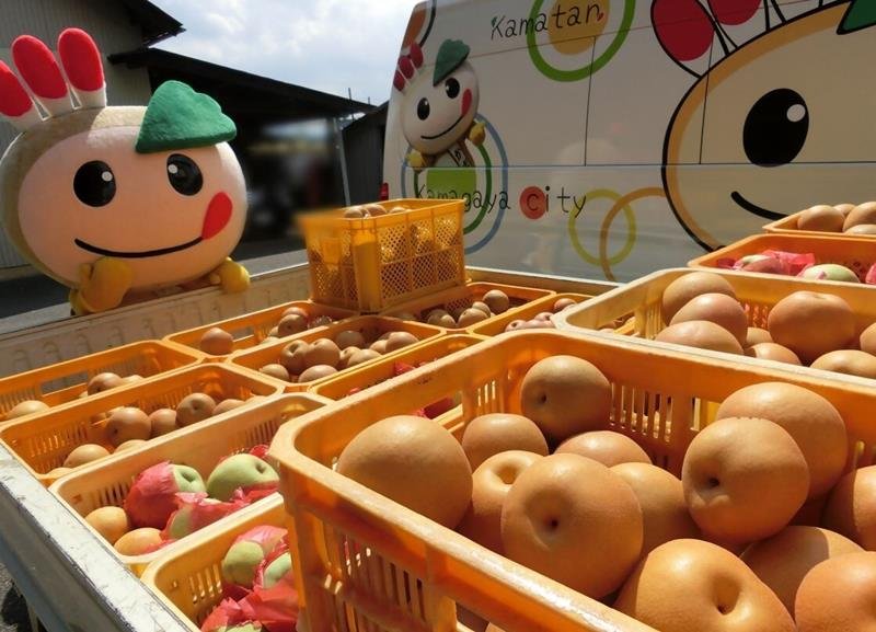 鎌ケ谷市特産の梨。奥は市のマスコットキャラクターの「かまたん」（同市提供）
